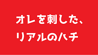 【超大スペクタクル・エピソードトーク】ハチに刺された昨日24時の話。自主製作ムービーあり（超うす消しターゲット追従モザイク加工済）