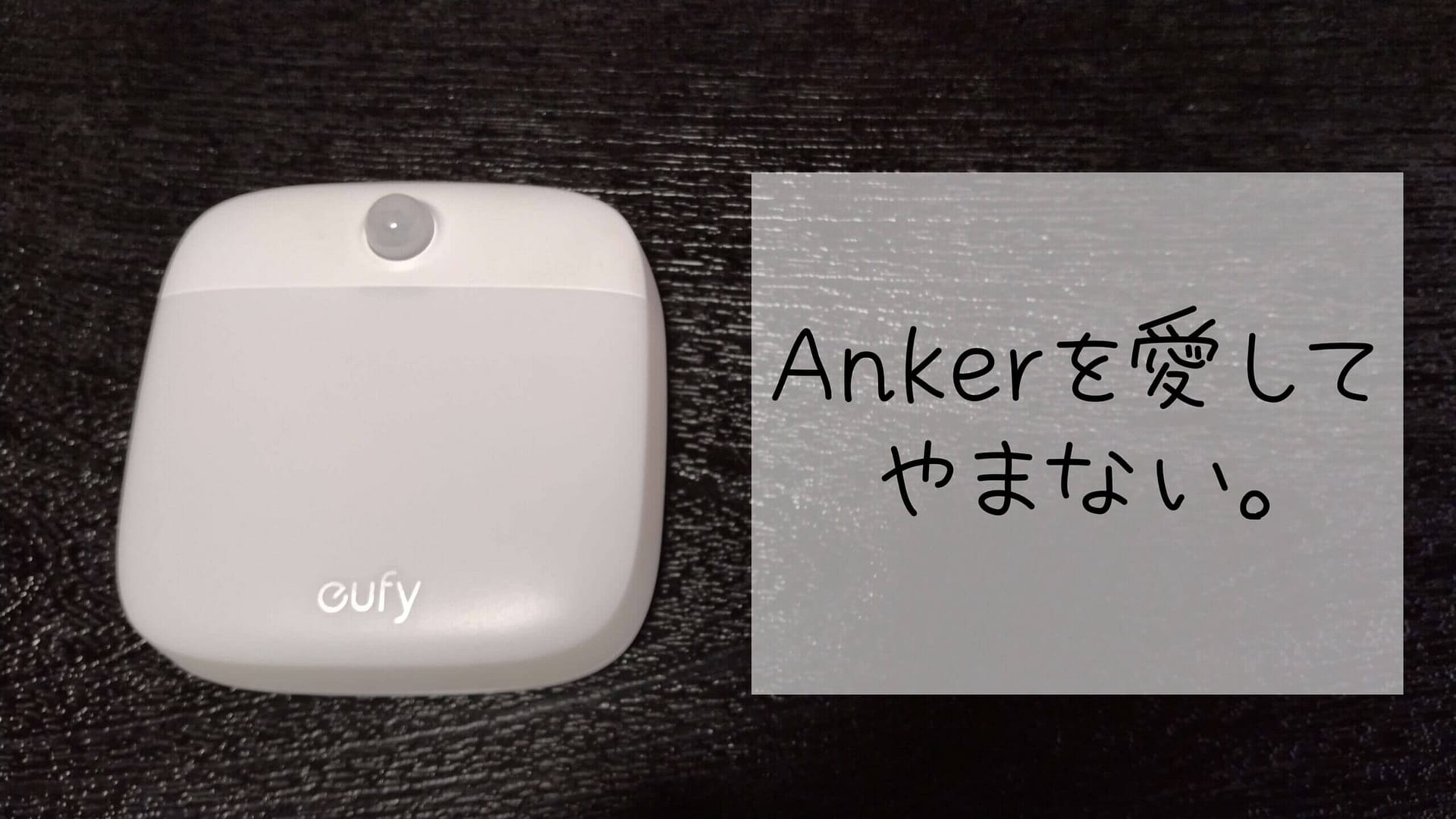 Ankerを愛してやまない。